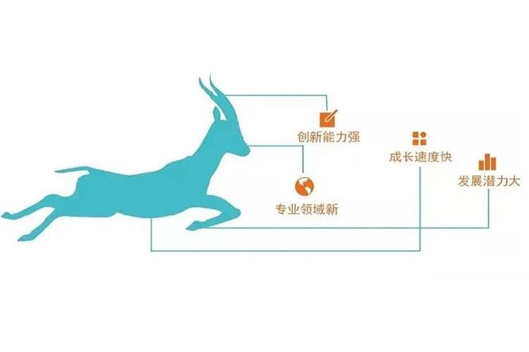 萊恩光電通過2022年度山東省瞪羚企業評審 萊恩光電通過2022年度山東省瞪羚企業評審